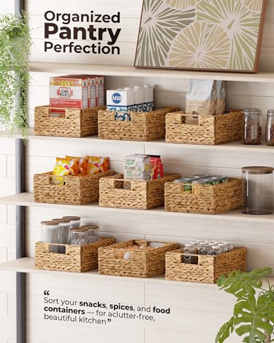 Bluewest Water Hyacinth Storage Baskets, Set of 6, Woven Bins with Handles | Organizer and Laundry Basket with Carrying Handles, Designed as a Rattan Bin for Shelves, Closets and Household Essentials.