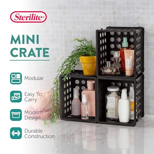 Sterilite Mini Crate, Stackable Storage Bin with Handles, Black, 12-Pack | Small Plastic Storage Containers, Open Top Organizer Bins for Home, Garage, Office, Classroom, Dorm, Desk & Crafts