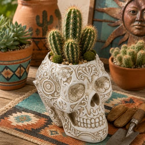 Top Brass Large Sugar Skull Eyeglass Holder & Succulent Planter – Decorative Skull Glasses Stand, Reading Glasses Organizer, Small Flower Pot, Resin Desk Decor, Sunglasses Holder, Home Office Décor