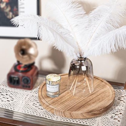 Wood Lazy Susan Turntable Kitchen Decor Round Table Tray, 10" Brown | Waterpoof, Easy clean, Non-slip, Rotating Wooden Decorative Pantry Table Tray for Seasoning, spice, snack