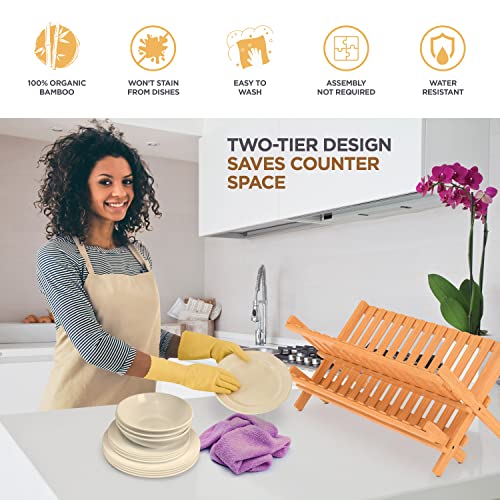 Collapsible Dish Drying Rack 2-Tier Bamboo Dish Drainer for Kitchen Counter | No Assembly Wooden Dish Rack, Compact Dish Strainer, Holds Plates Cups Bowls Mugs Utensils, Folds Flat for Small Kitchens, RV