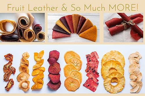 4 Fruit Leather Silicone Dehydrator Sheets with EDGES - NON-Toxic for Nesco Round Dehydrators Lip Mold Hold Batter Liquids Fruit Roll Up Fruit Leather Circle ReUsable Flexible Non Stick