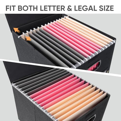 BALEINE File Organizer Box with Lid, Collapsible File Folder Organizer with Plastic Slide, Hanging File Folder Box for Office Document Storage (1 Pack, Black)
