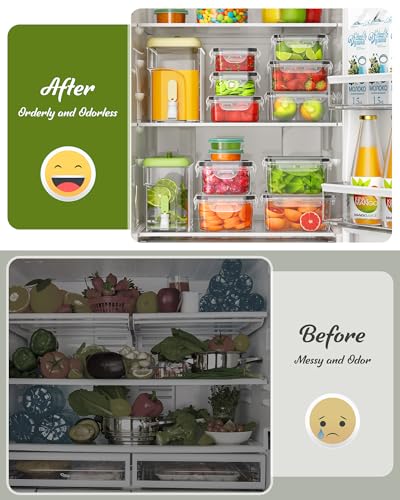 Canfanni 40 Piece Food Storage Containers with Lids, BPA-Free