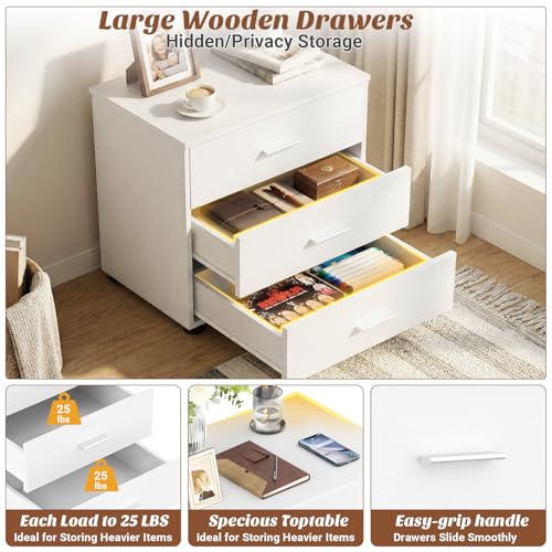 Aheaplus 21.7" Closet Drawers, Wood Closet Organizers and Storage with 3 Drawers, Closet Drawers Organizer System, Nightstands Bedside End Table with 3 Drawers Storage for Bedroom, White1
