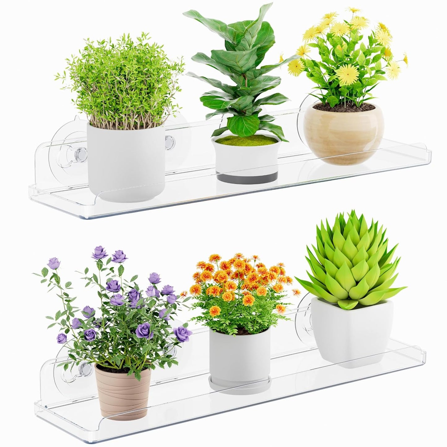Lifewit Window Plant Shelves 14.6", 2 Pack Acrylic Suction Cup Floating Shelf for Bathroom Mirror, or Kitchen Wall, Clear No-Drill Window Sill Extender for Indoor Micro Greens 37 x 9 cm/14.6x3.6