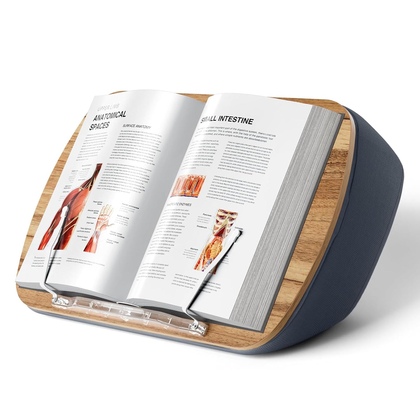 Lap Beanbag Book Stand for Hands Free Reading Comf... (Muted Gray | Wood)