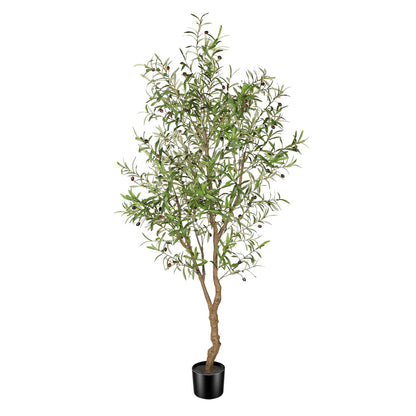 7ft Faux Olive Tree with Natural Olive Branches & Realistic Leaves | Fake Potted Olive Silk Tree with Sturdy Base - Realistic Olive Trees Artificial Indoor for Modern Home Entryway Office Decor
