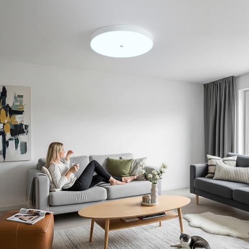 Led Flush Mount Ceiling Light