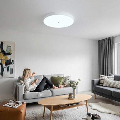 Led Flush Mount Ceiling Light