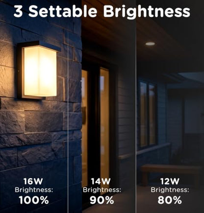 Outdoor Wall Sconce