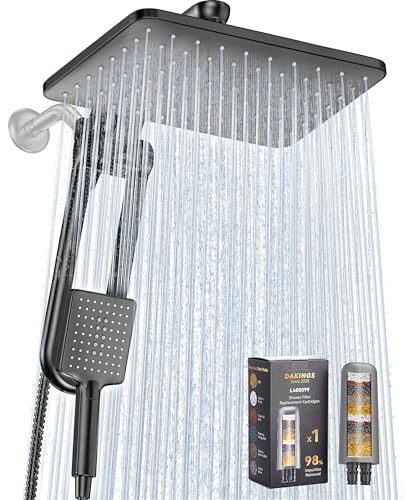 Dual Shower Head Combo with Filter