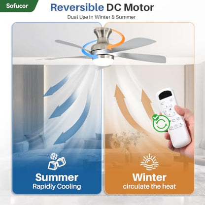 42 Inch Low Profile Ceiling Fans with Lights and Remote (Silver+Nickel / 42 inch)