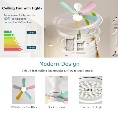 Ceiling Fans with Lights