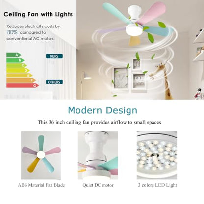 Ceiling Fans with Lights