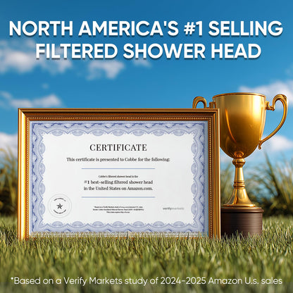 Filtered Shower Head with Handheld (Round (Built-in Power Wash) / 3. Chrome Plated)
