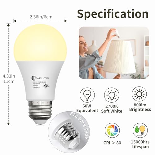 A19 LED Light Bulbs