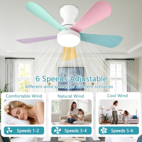 Ceiling Fans with Lights