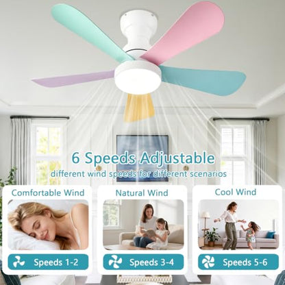 Ceiling Fans with Lights