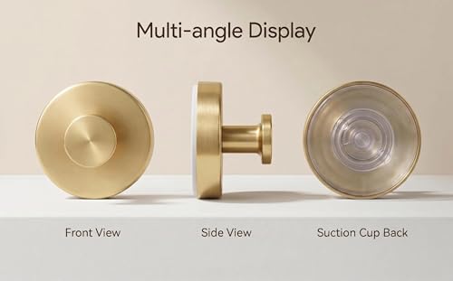 Suction Cup Hooks for Living Room