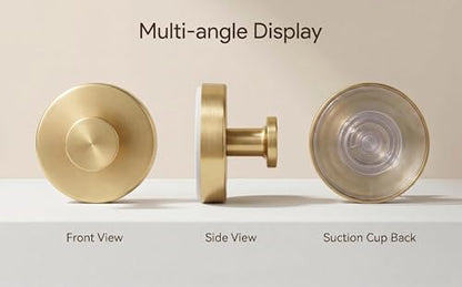 Suction Cup Hooks for Living Room