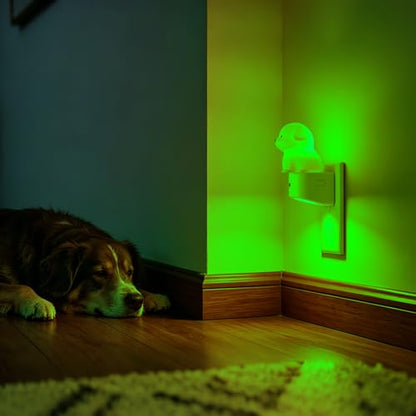 Night Light for Kids