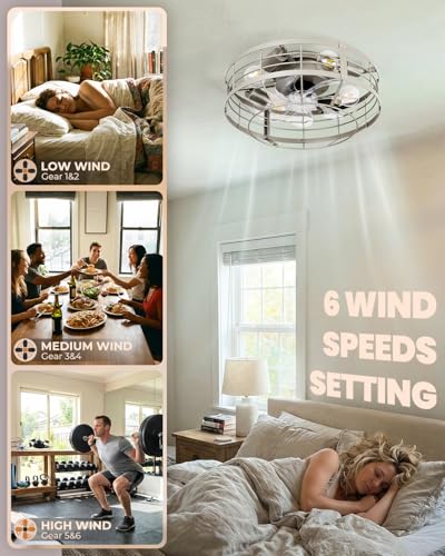 Black Ceiling Fan with Light