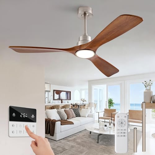 Ceiling Fan with Light