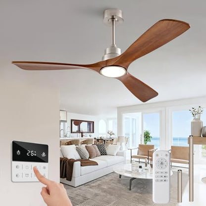 Ceiling Fan with Light