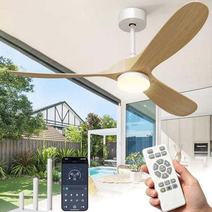 Ceiling Fans with Lights