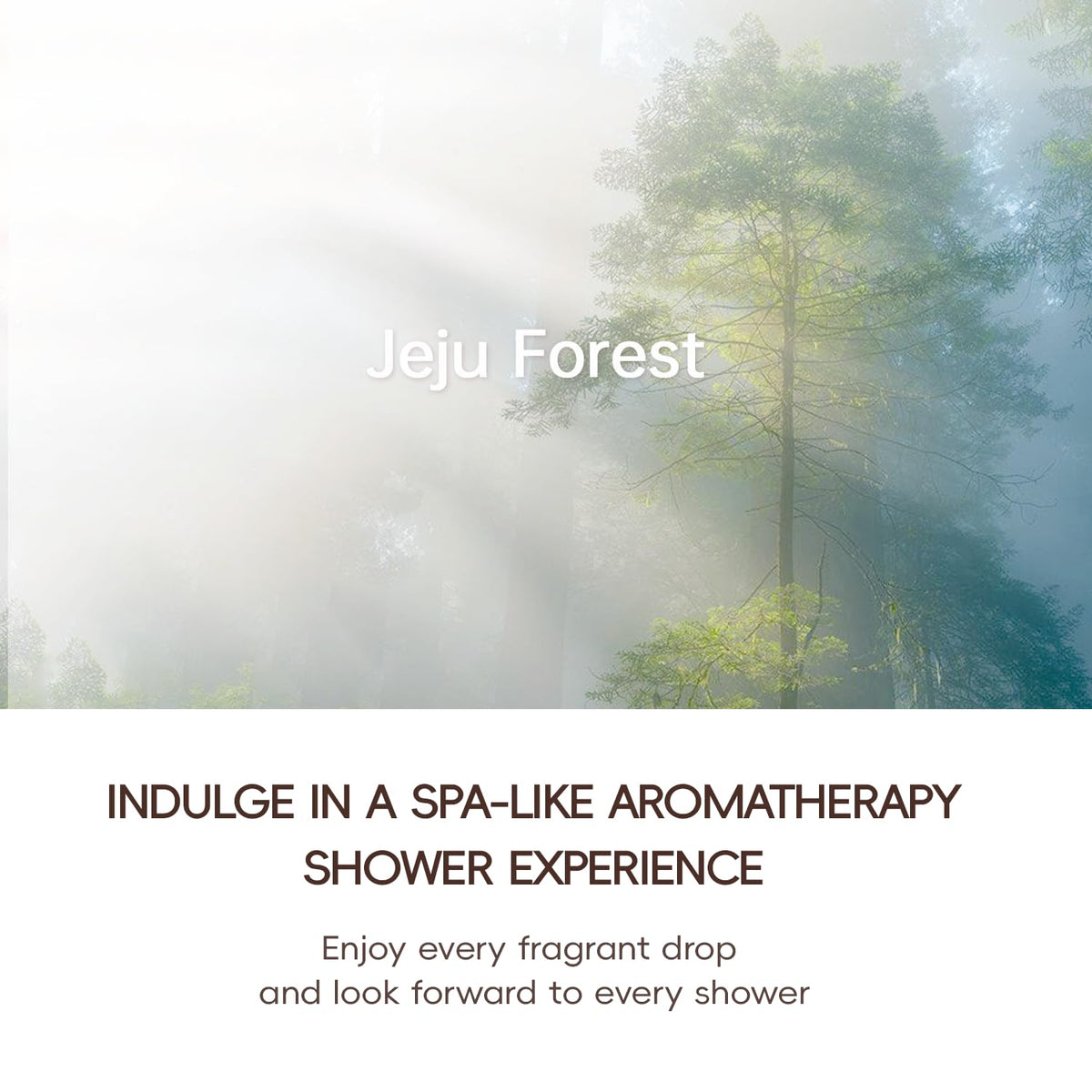 Korean 3-in-1 Aroma Filtering & Skin-Nourishing Shower Filter (Jeju Forest)
