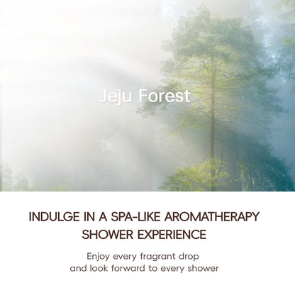 Korean 3-in-1 Aroma Filtering & Skin-Nourishing Shower Filter (Jeju Forest)