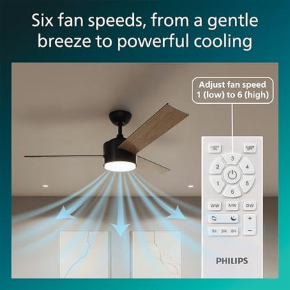 Indoor Ceiling Fan with Bright LED Light