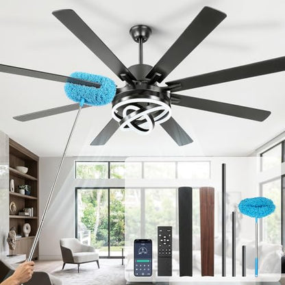 Ceiling Fans with Lights