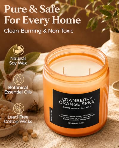 Cranberry Orange Spice Holiday Candle 11.6Oz for Festive Home Decor (Medium Jar / CranberryOrangeSpice)