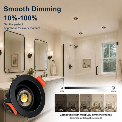 Gimbal LED Recessed Light (12P-Black / 2 Inches- Anti glare)