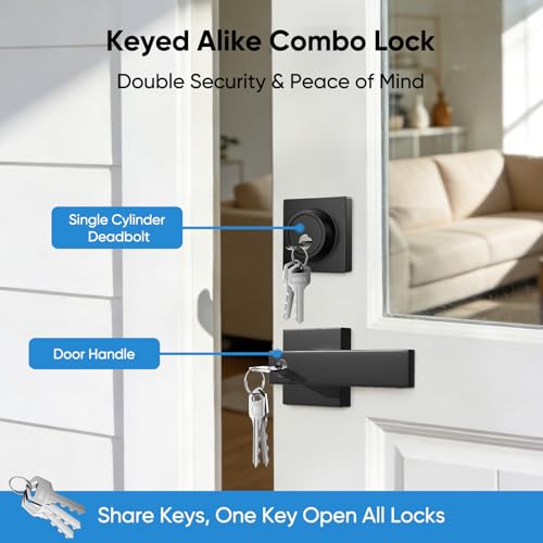 Exterior Door Lock Set
