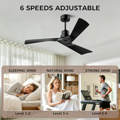 Ceiling Fan and Remote Control Outdoor Ceiling Fan