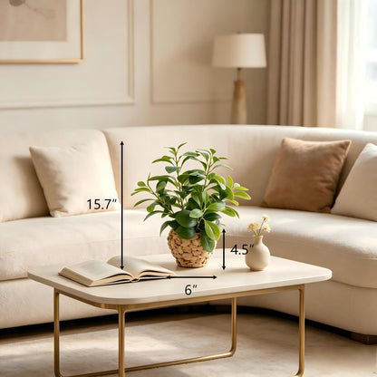 Fake Faux Potted Plant 15.7" Ficus Water Hyacinth Boho Decor (Green Ficus Plant 15.7" H)