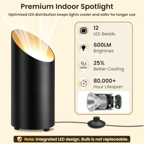 2 Pack Uplighting Indoor Floor Can Lights