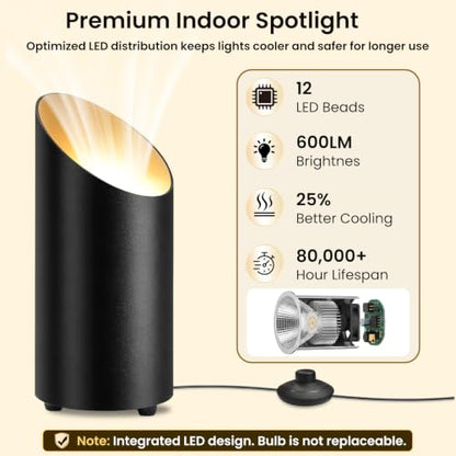 2 Pack Uplighting Indoor Floor Can Lights