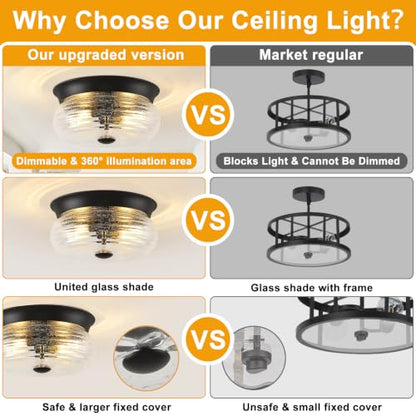 Flush Mount Ceiling Light Fixtures