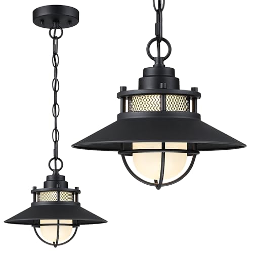 Black LED Antique Outdoor Barn Lights With Cage