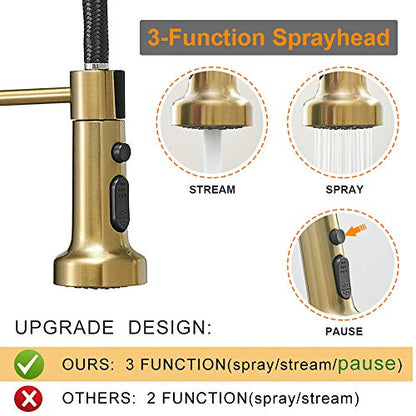 High Arc Spring Kitchen Faucet with Pull Down Sprayer