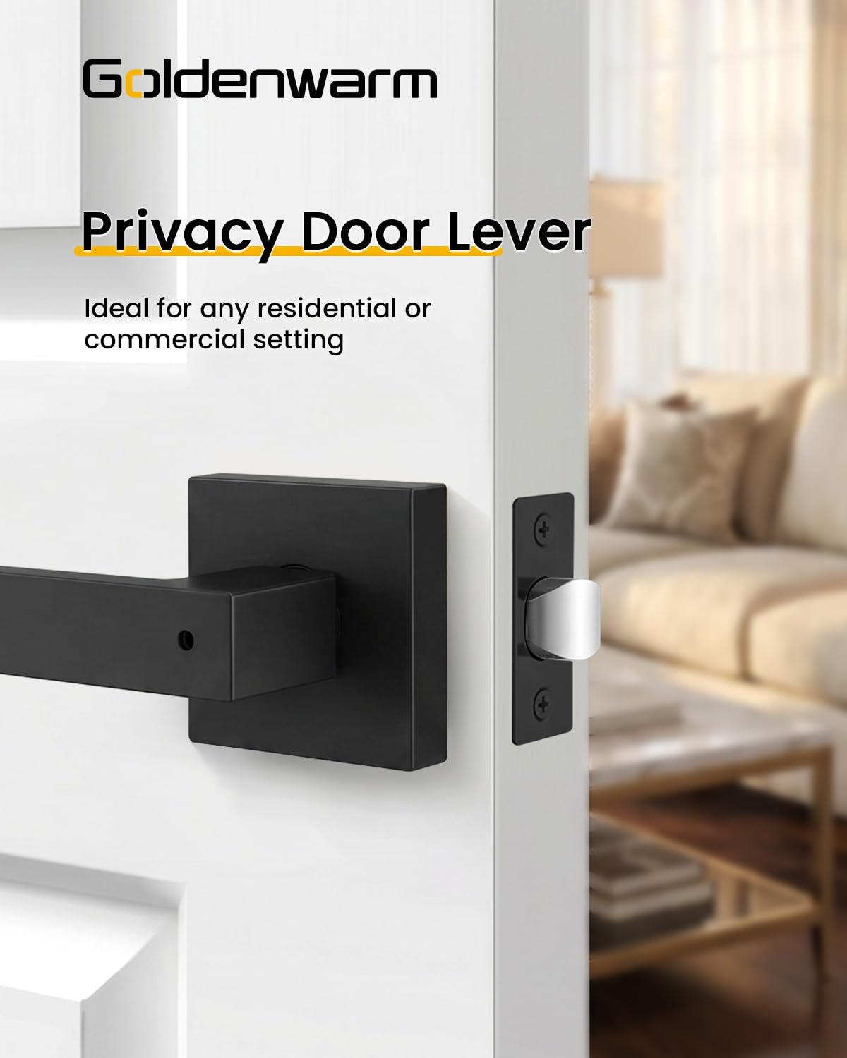 Matte Black Privacy Door Handles Interior (Matte Black)