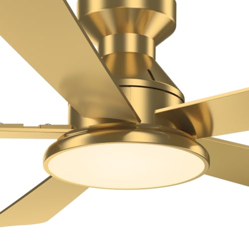 Ceiling Fans with Lights