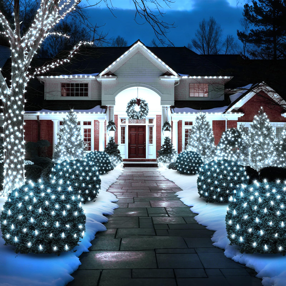 Christmas Net Lights Outdoor (Cool White-2PCS)