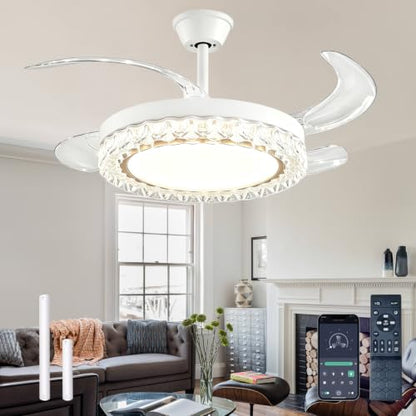 Ceiling Fans with Lights