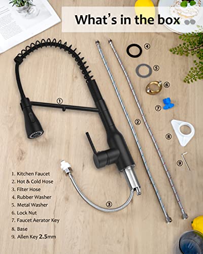 Kitchen Faucet with Pull Down Sprayer and Pot Filler