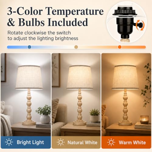 Traditional 21" Rustic Table Lamp Set of 2 for Living Room